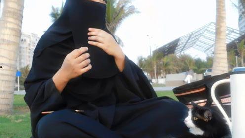 娱乐吃瓜君5,揭秘娱乐圈最新热点，带你领略明星幕后故事